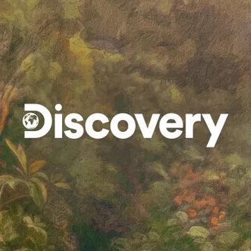 Discovery New York Logo