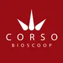 Logo Corso