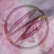 Cosmic Brushes Logo