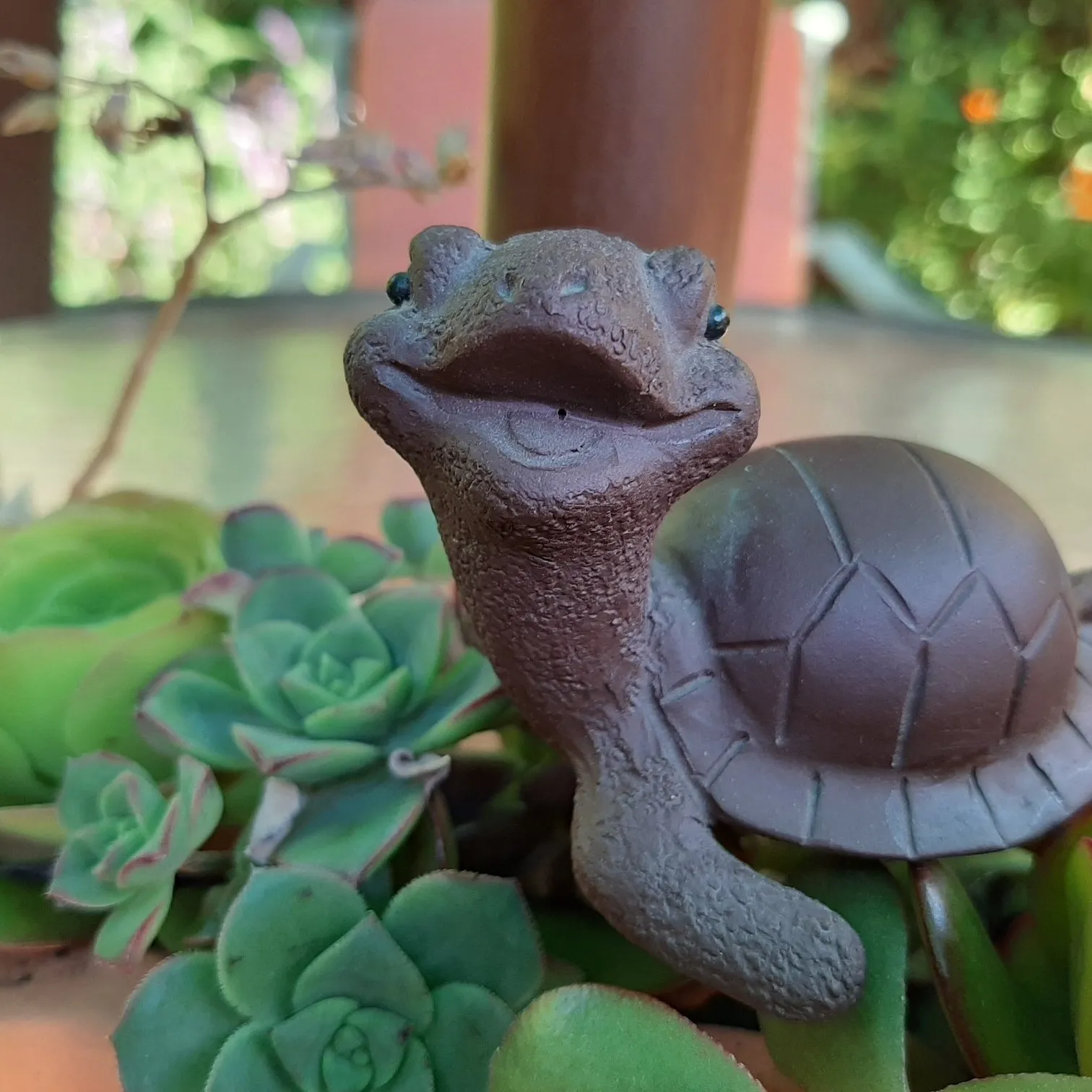 Cosmictortoisetea