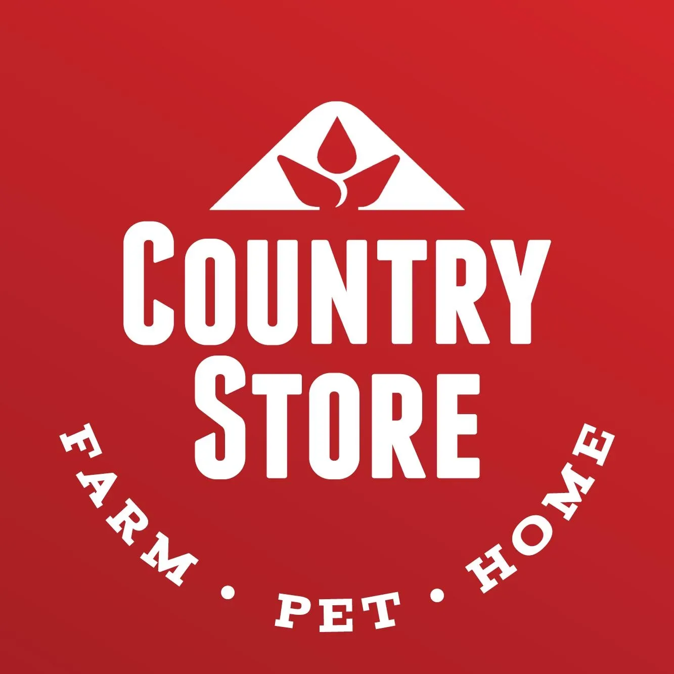 Country Store (regional retail)