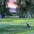 Cove View Golf Course logo