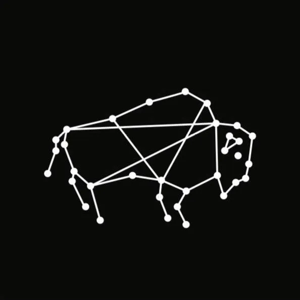 Cowboysandastronauts