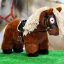 Logo Crafty Ponies