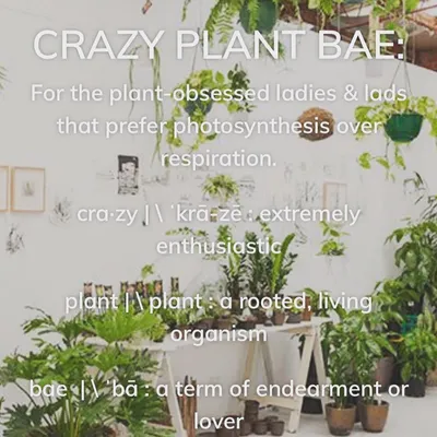 Crazy Plant Bae logo