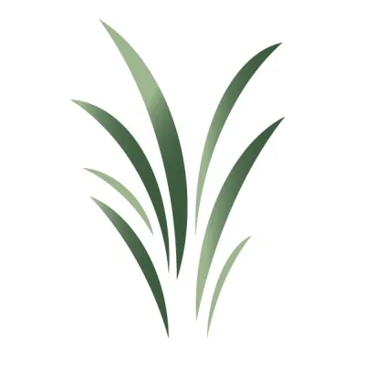 Creation Investments logo