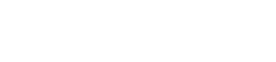 Critical Nutrition Labs light logo