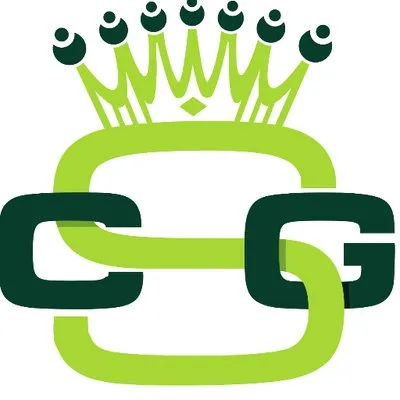 Crown Solutions Inc logo