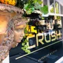 Logo Crush