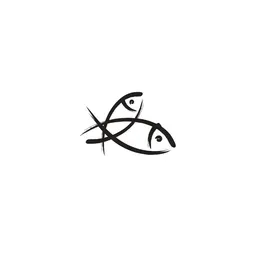 Curated Kitchenware