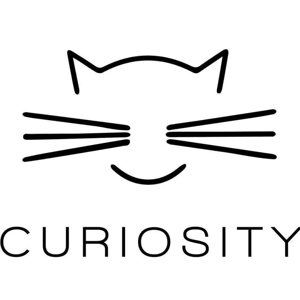Curiosityhomedecor