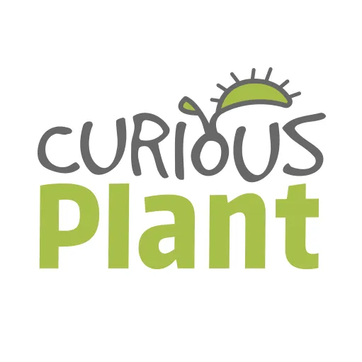 Curiousplant