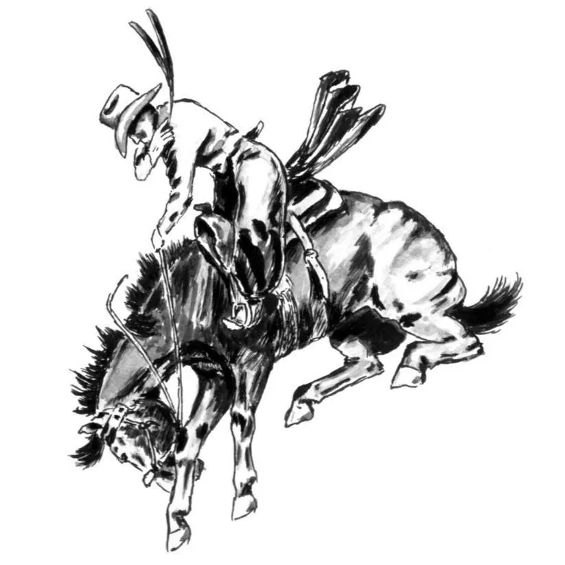 Customcowboyshop