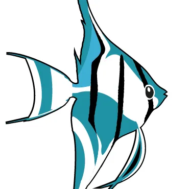 Coachella Valley Aquatics