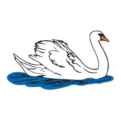 Cygnet ZHP Fund, LP logo