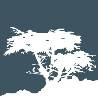 Cypress Capital Group logo