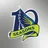 Dallas Wings logo