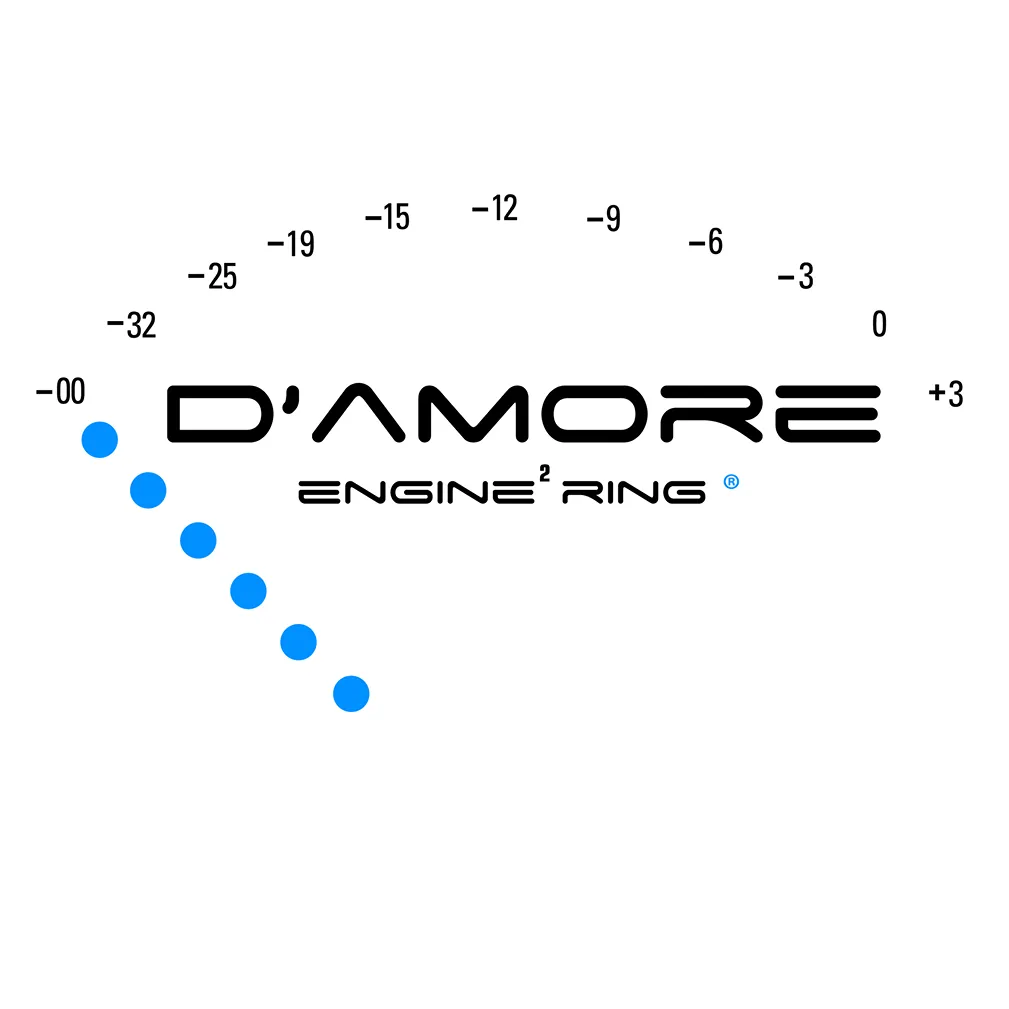 Damoreengineering