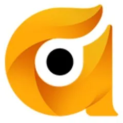 Danddcollectibles