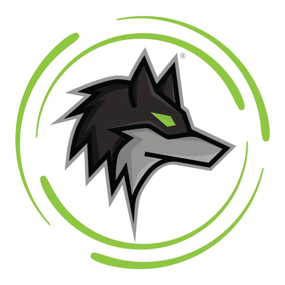 Dark Wolf Solutions logo