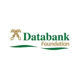 Databank Foundation Logo & Brand Assets (SVG, PNG and vector) - Brandfetch