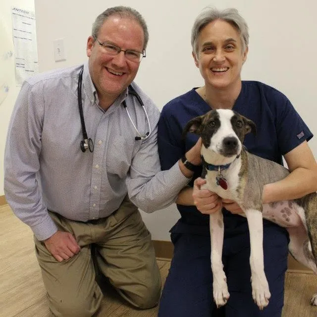 Dr. Dan's Animal Hospital logo