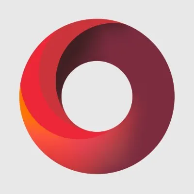 DDN logo
