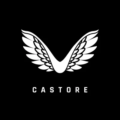 Castore Germany logo