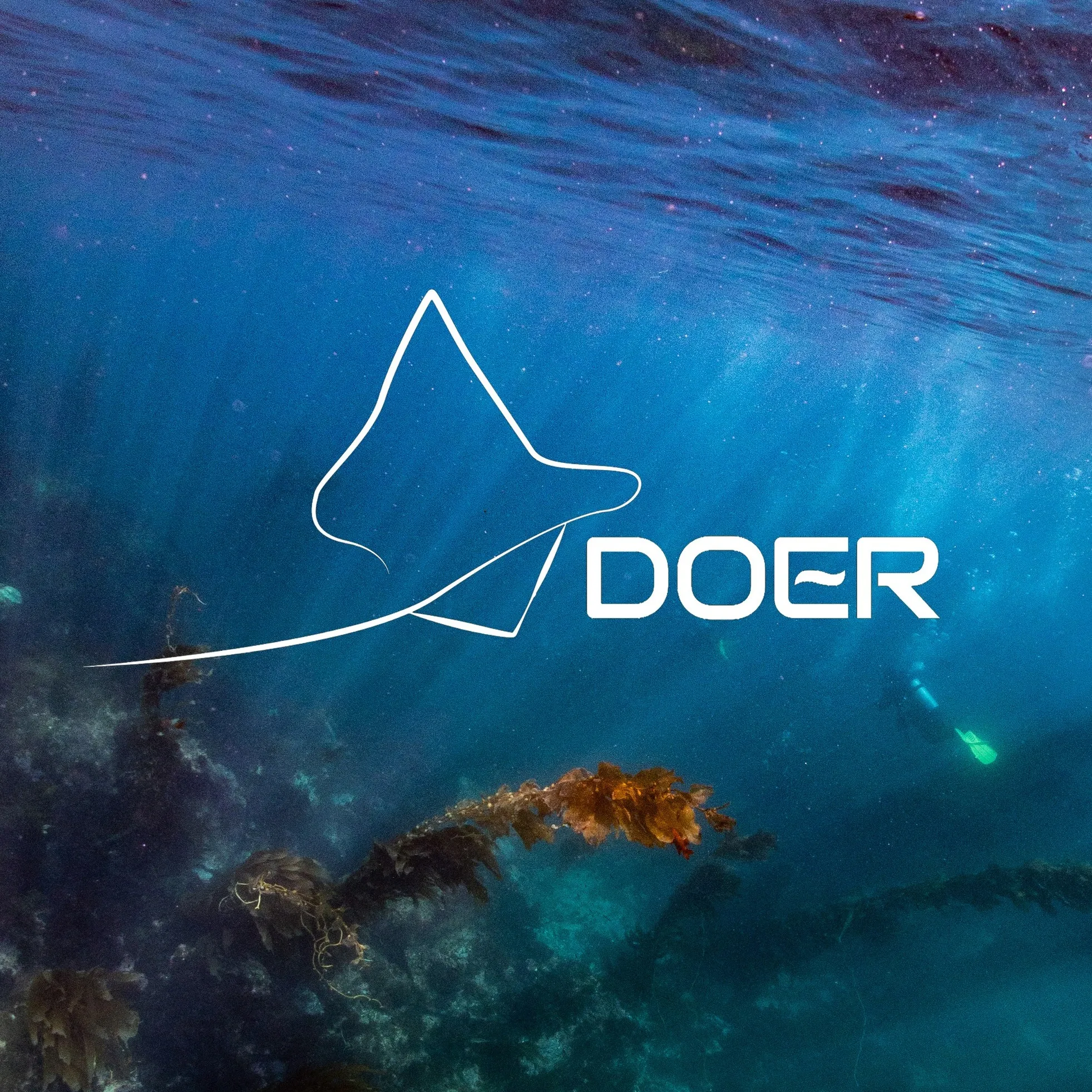 Deepoceanexplorestore