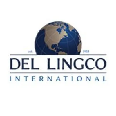 Del Lingco International Business Brokers logo