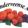 Logo De Manderveense Aardbei