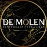 Logo De Molen