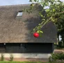 Logo De Mooie Schuur