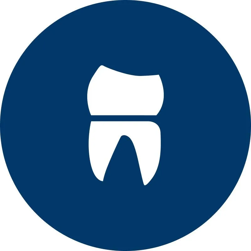 dental bauer GmbH logo