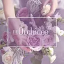 Logo De Orchidee