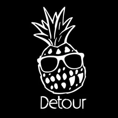 detoursnow.com logo