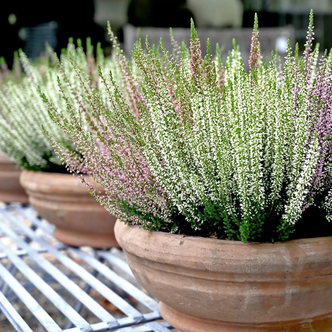 Detroit Garden Works