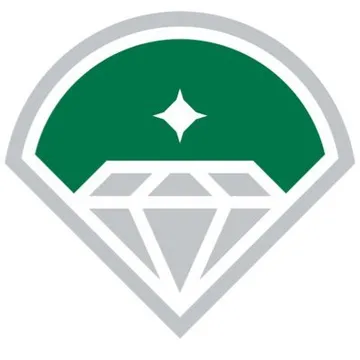 Diamond Baseball Holdings Logo