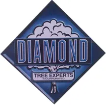 Diamond Tree Experts logo