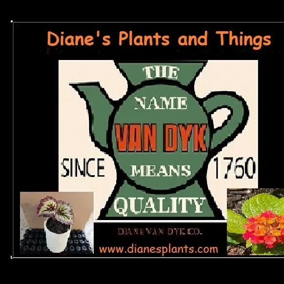 Dianesplants