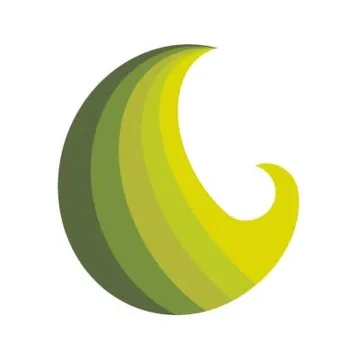 Diaspore Work With Sense Logo