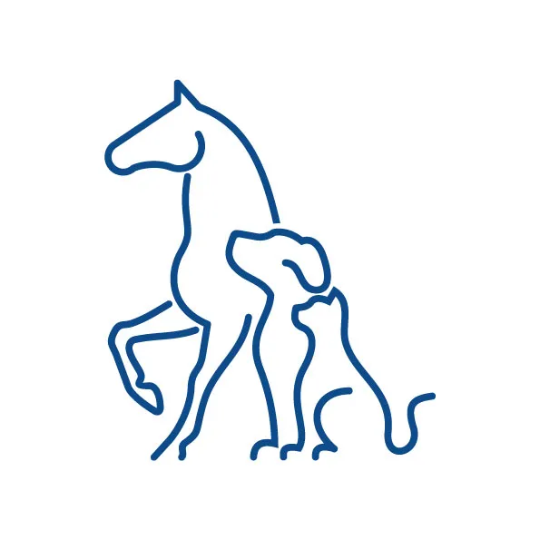 Die Tierphysio