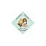 Logo Dierenkliniek Vlagtwedde