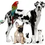 Logo Dierenshop Quispel