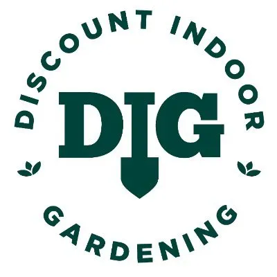 Dig