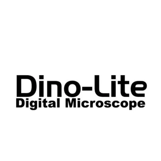 Dino-Lite
