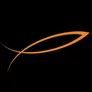 Logo Dirks Vishandel