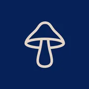 DIRTEA Logo