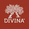 Divina Market logo