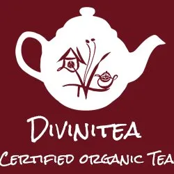 Divinitea